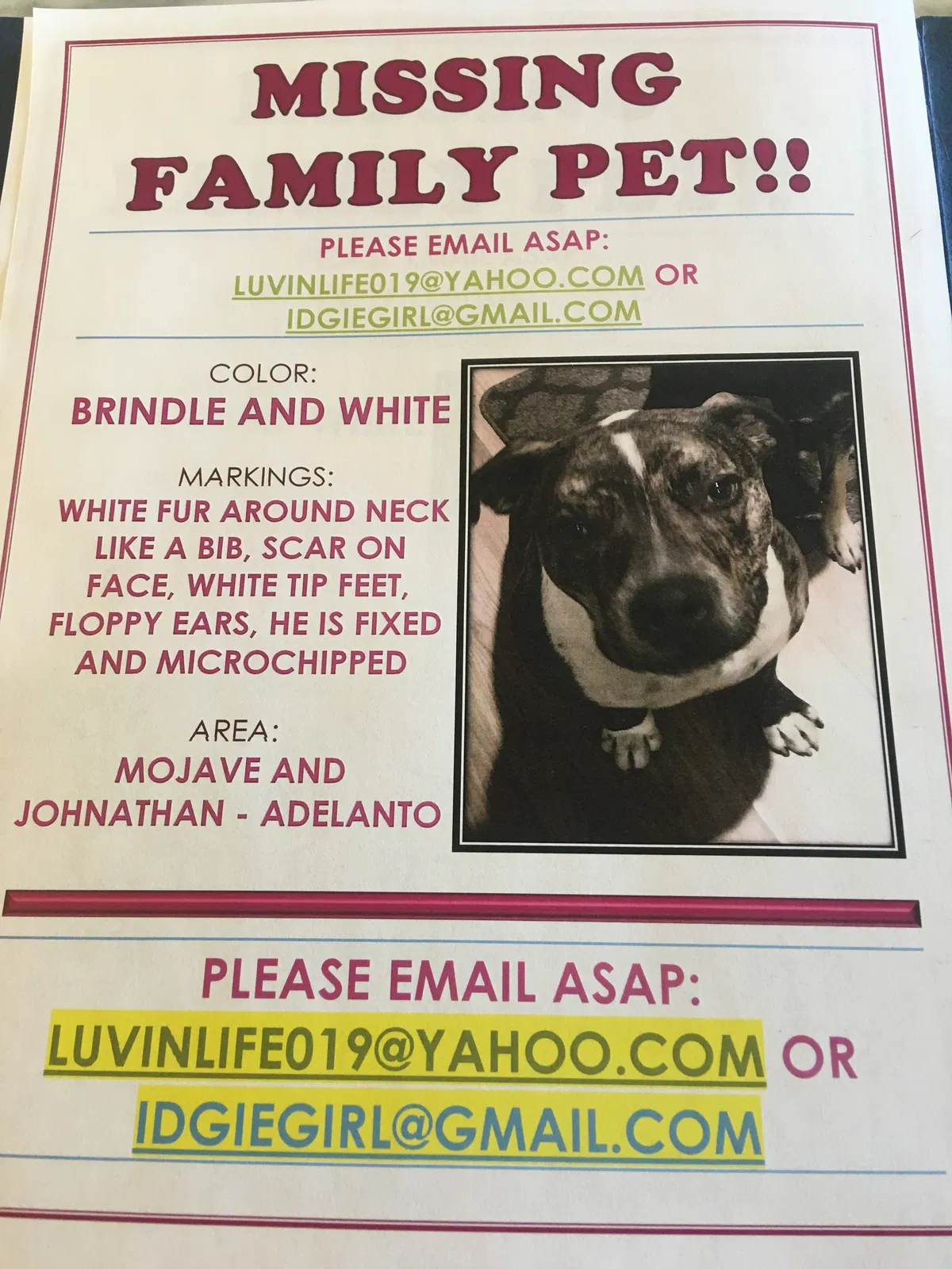 Lost dog in Adelanto, CA, 92301
