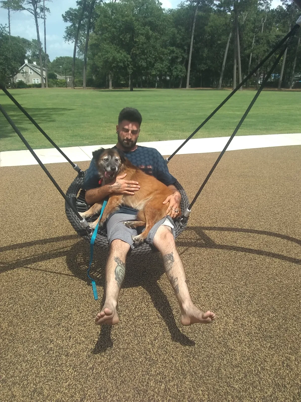 Lost dog in Fayetteville, NC, 28314
