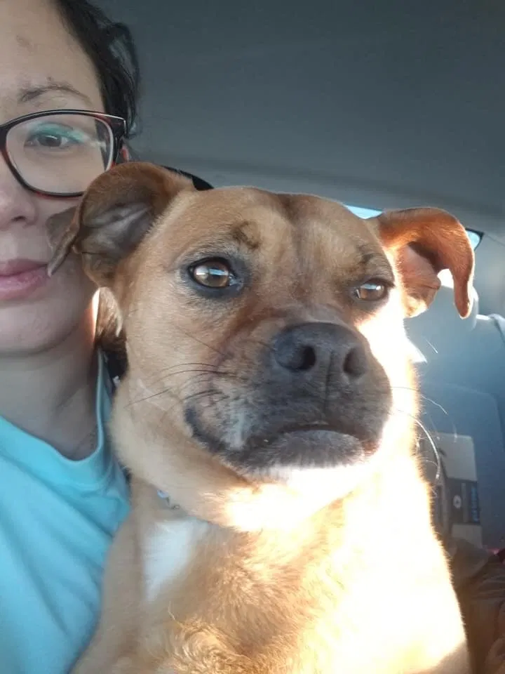 Lost dog in Minneapolis, MN, 55430
