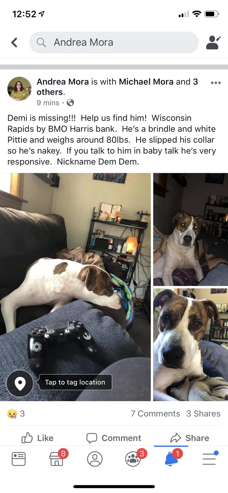 Lost dog in Wisconsin Rapids, WI, 54494