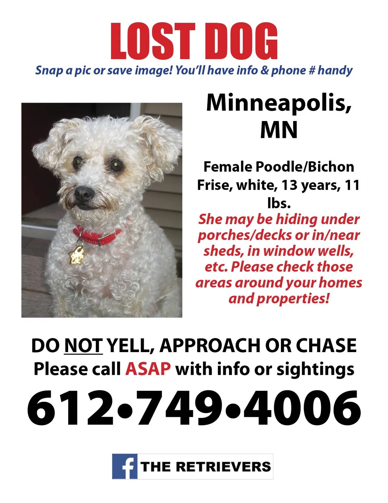 Lost dog in Minneapolis, MN, 55414