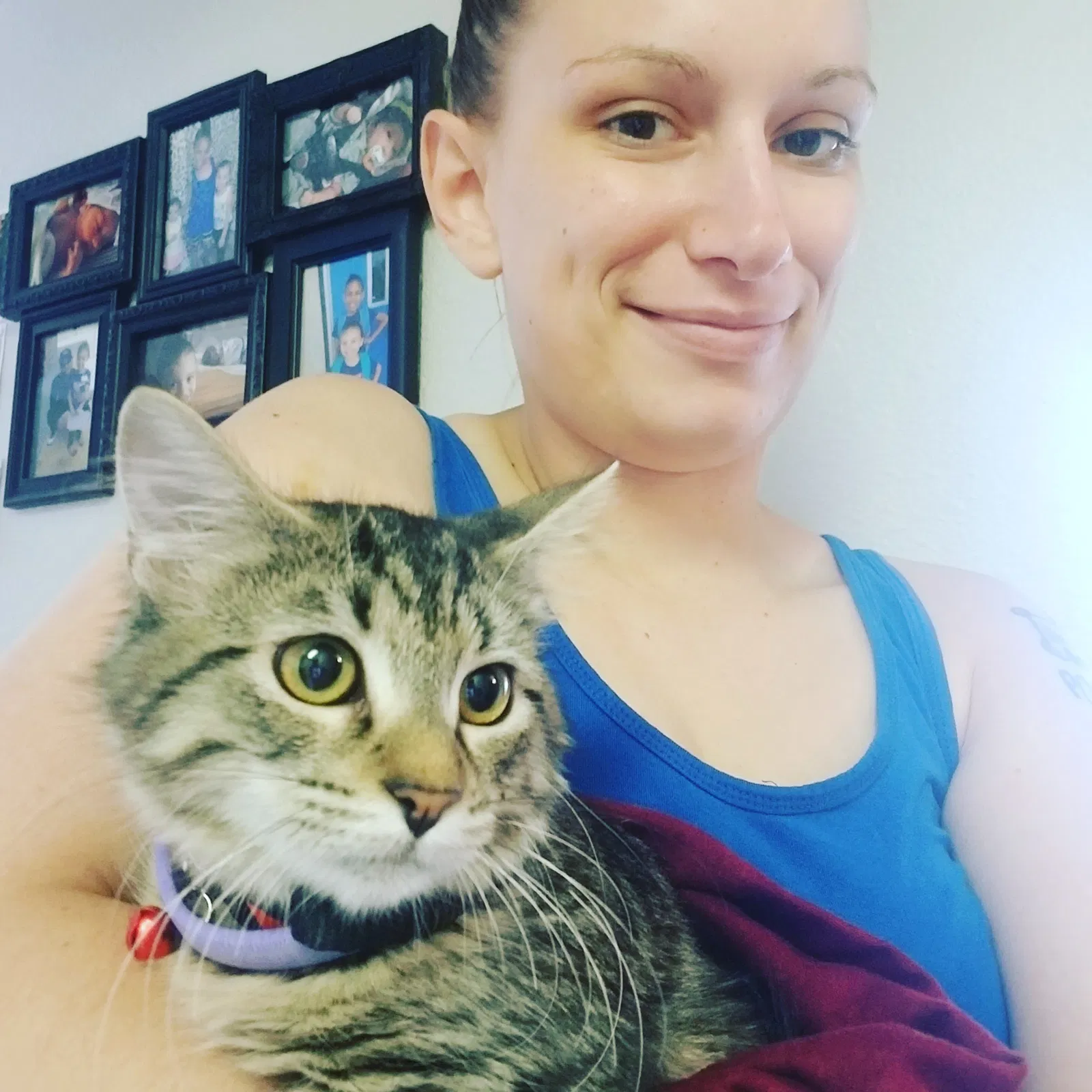 Lost cat in Vacaville, CA, 95687