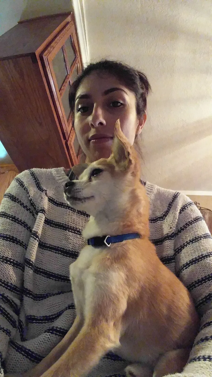 Lost dog in Riverbank, CA, 95367