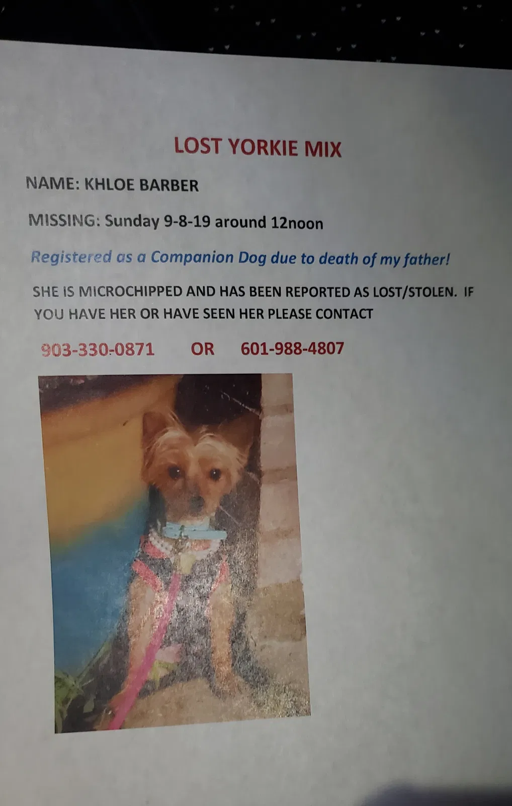 Lost dog in Crowley, TX, 76036