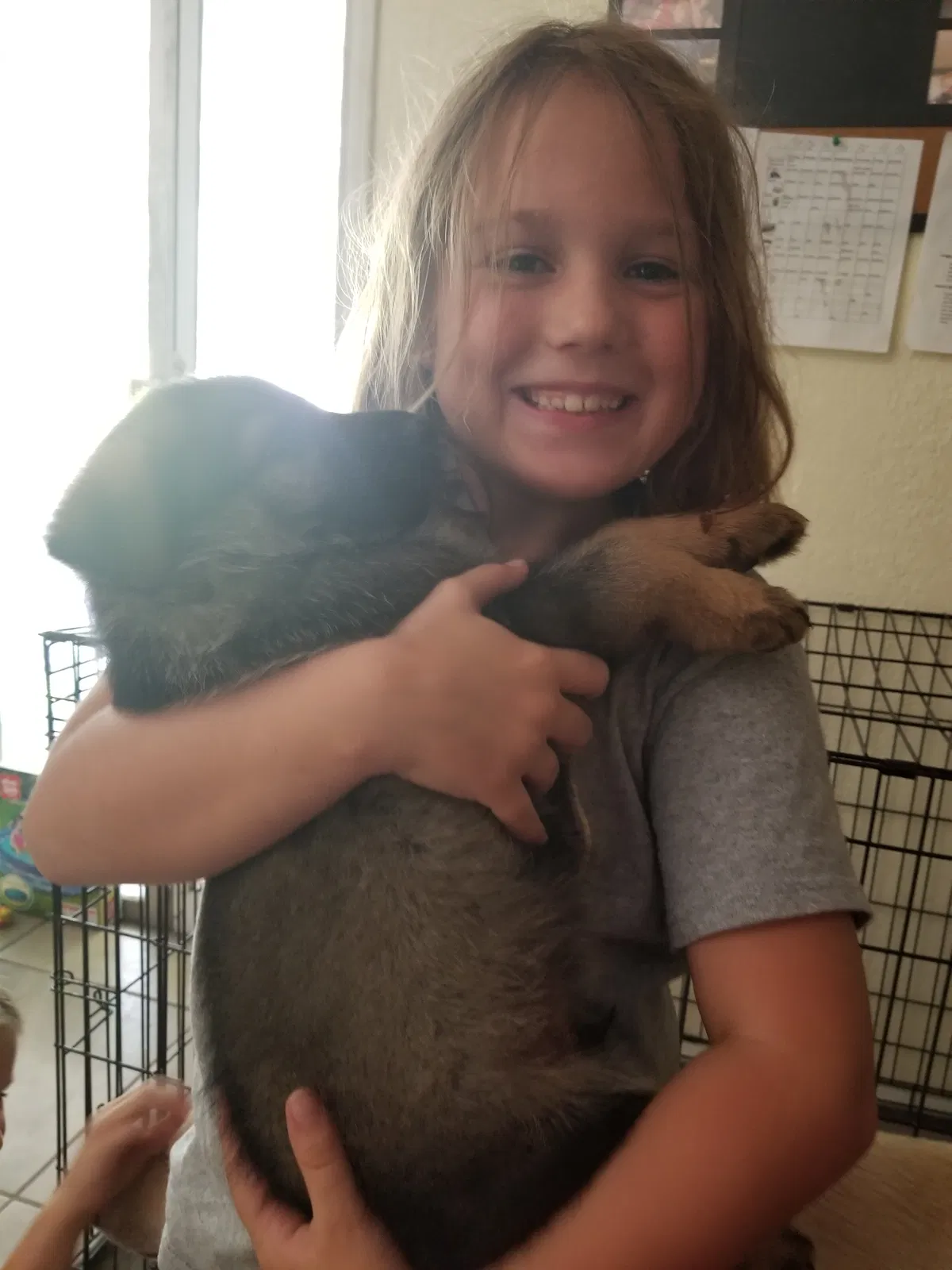 Lost dog in Corpus Christi, TX, 78418