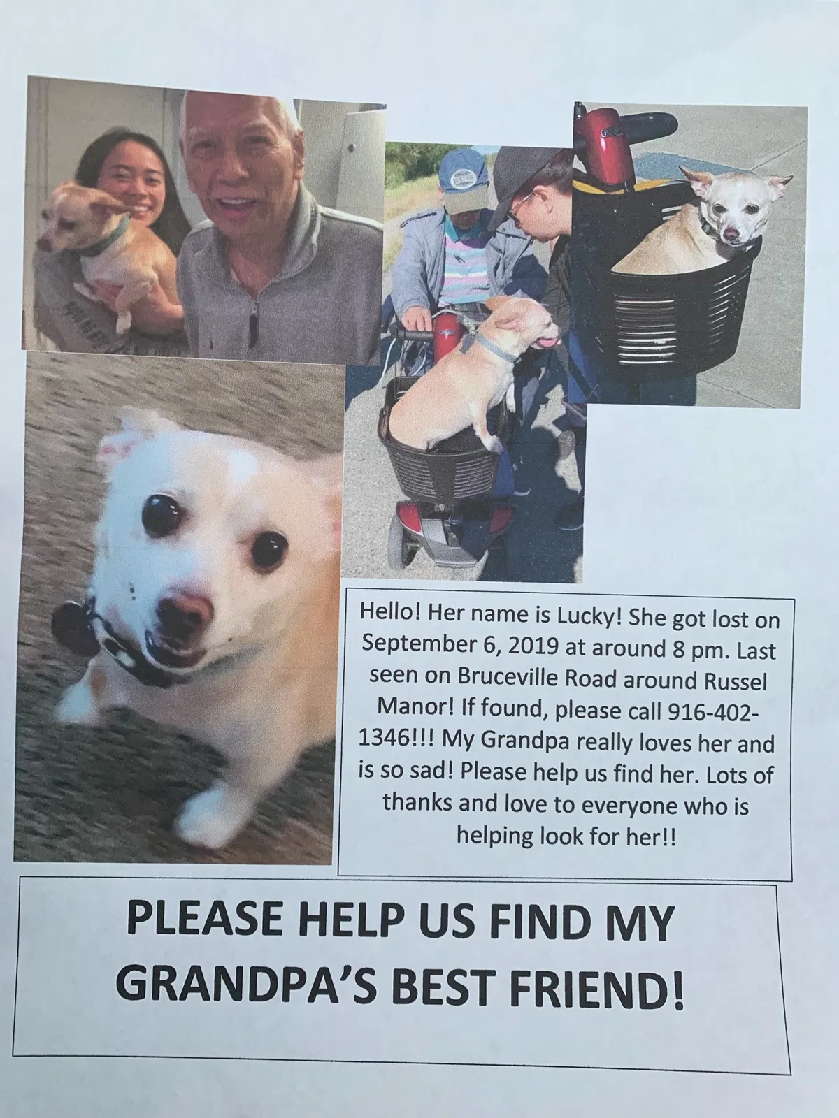 Lost dog in Sacramento, CA, 95823