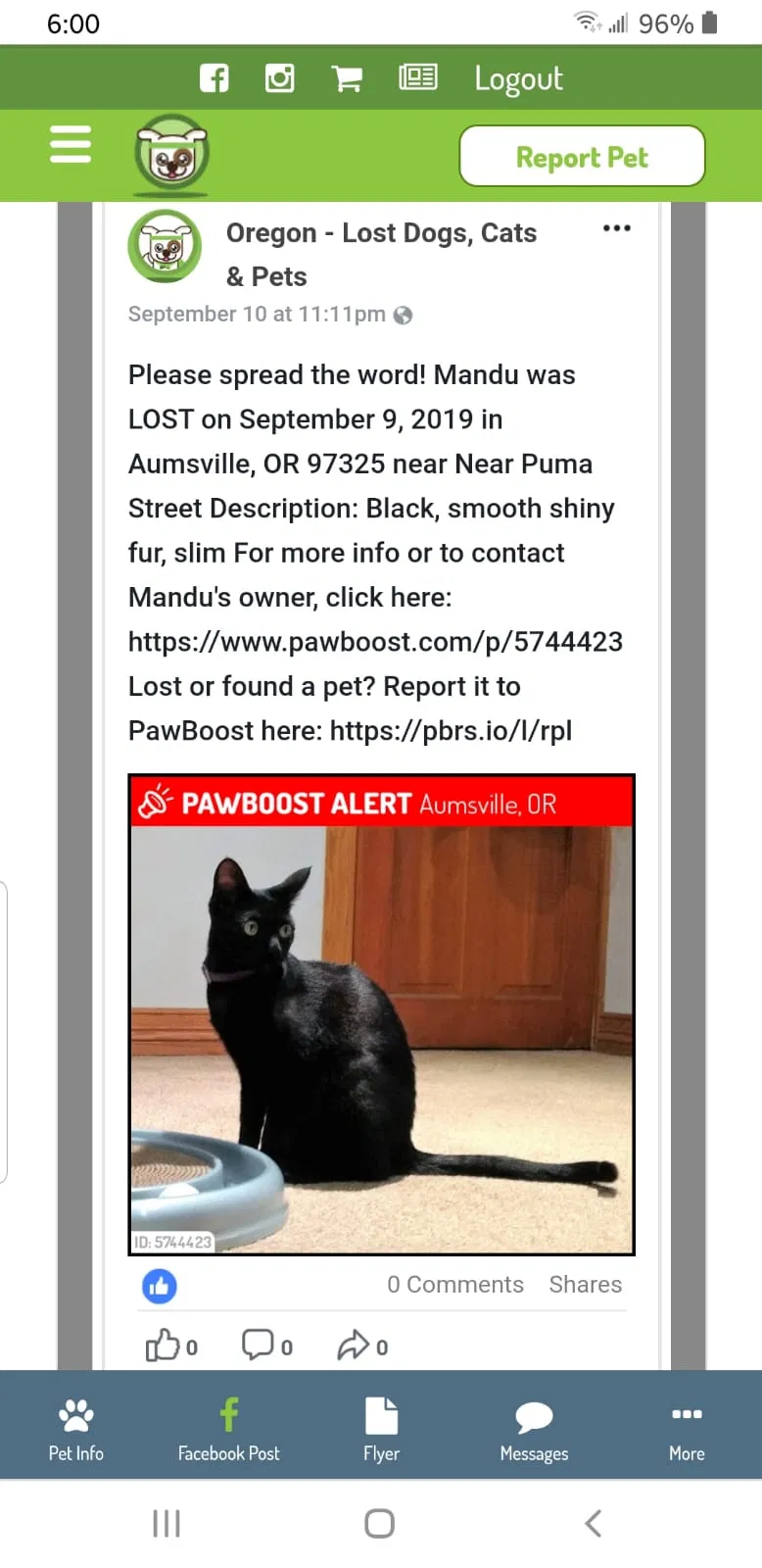 Lost cat in Unknown, OR, 97328