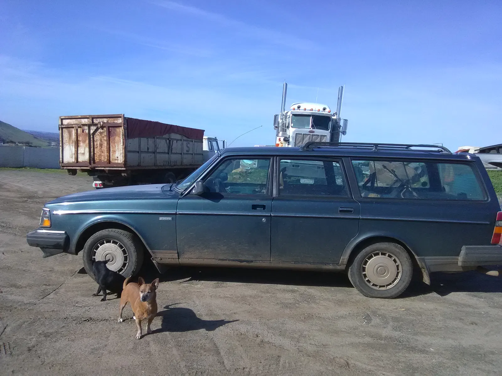 Lost dog in Sanger, CA, 93657