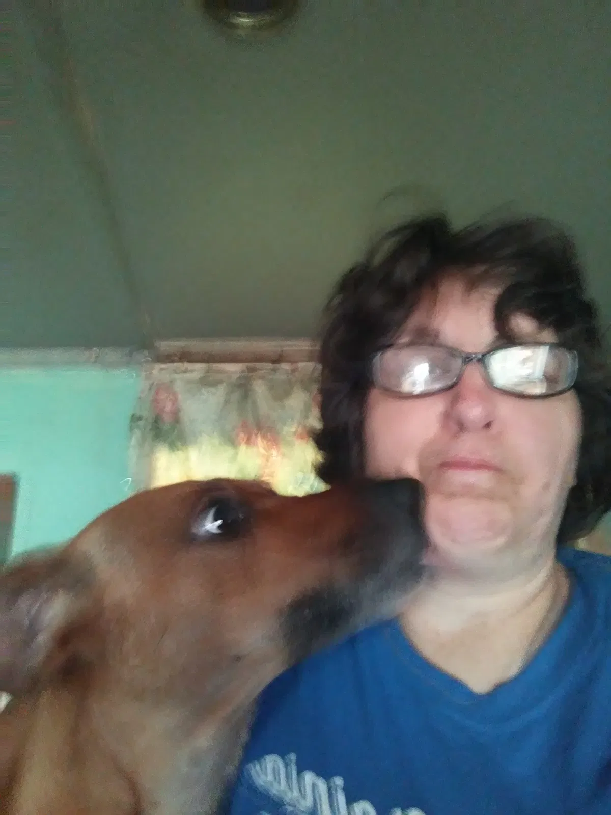 Lost dog in Gallagher, WV, 25083