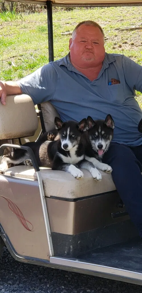 Lost dog in Elliston, VA, 24087