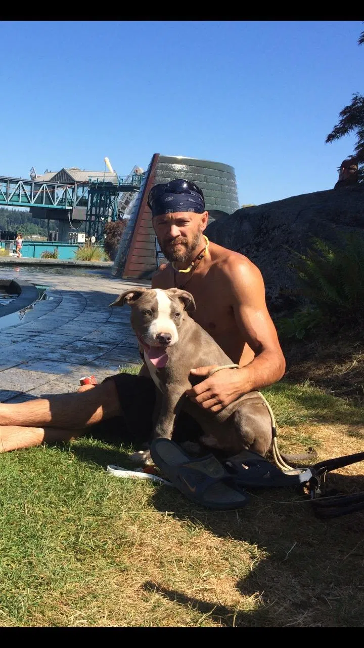 Lost dog in Port Orchard, WA, 98367