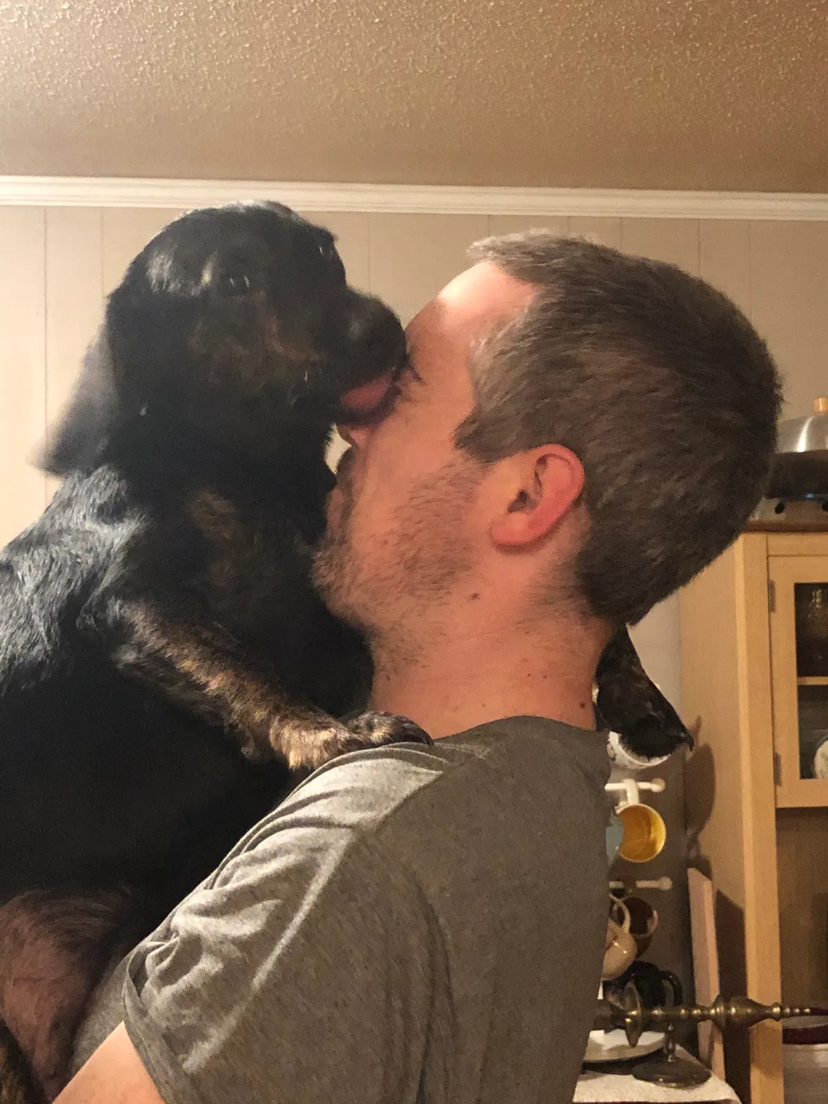 Lost dog in Asheboro, NC, 27205