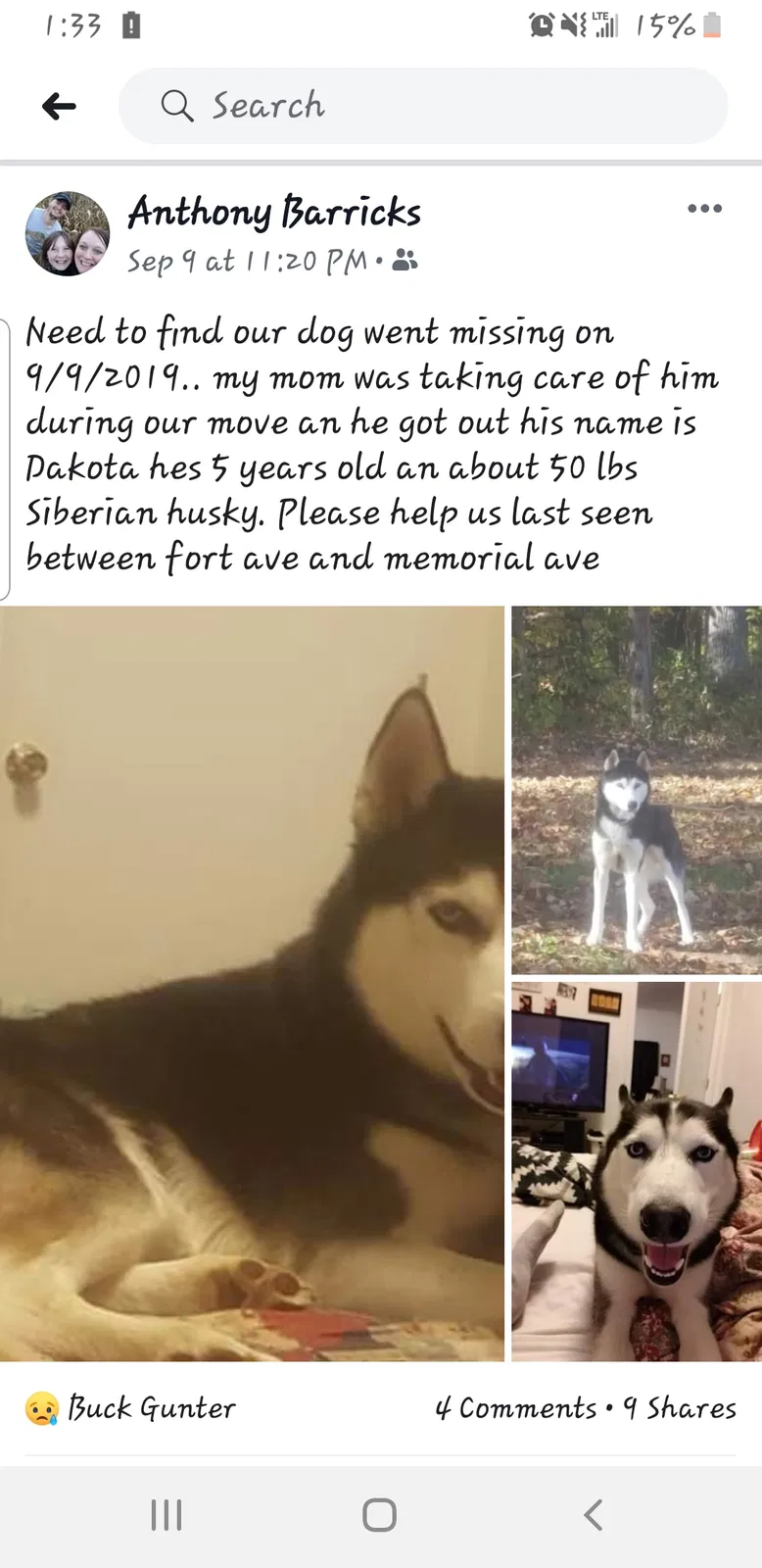 Lost dog in Lynchburg, VA, 24501