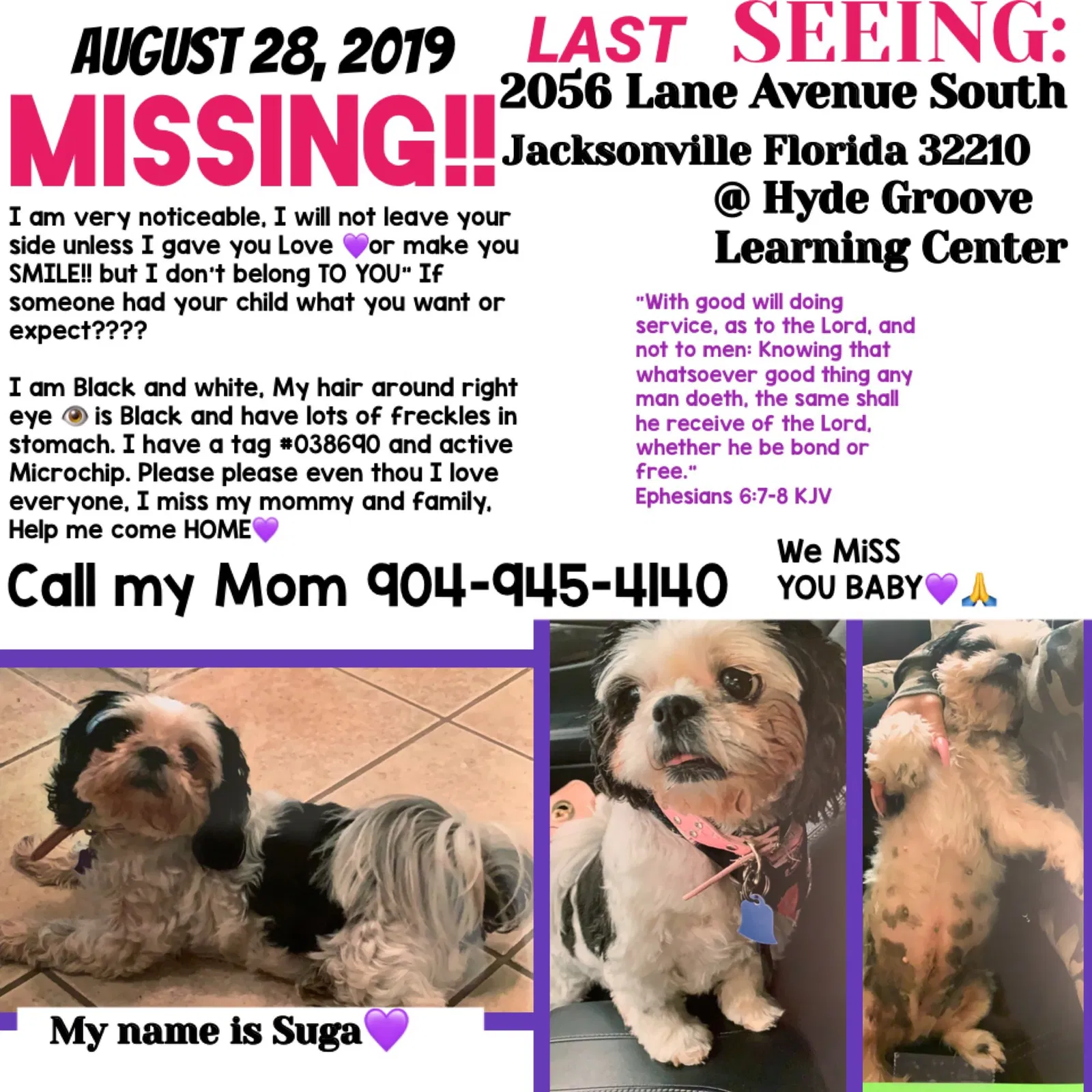 Lost dog in Jacksonville, FL, 32210