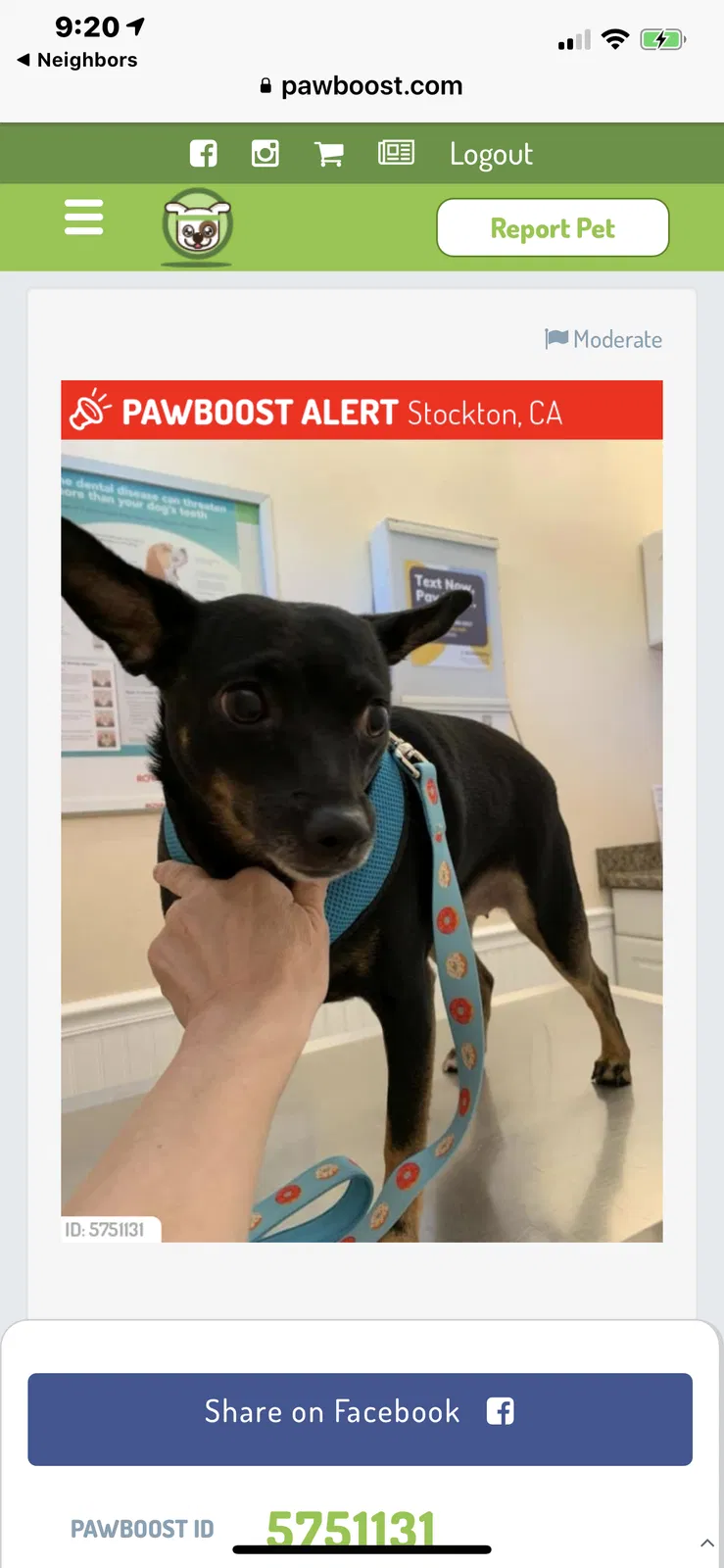 Lost dog in Stockton, CA, 95209
