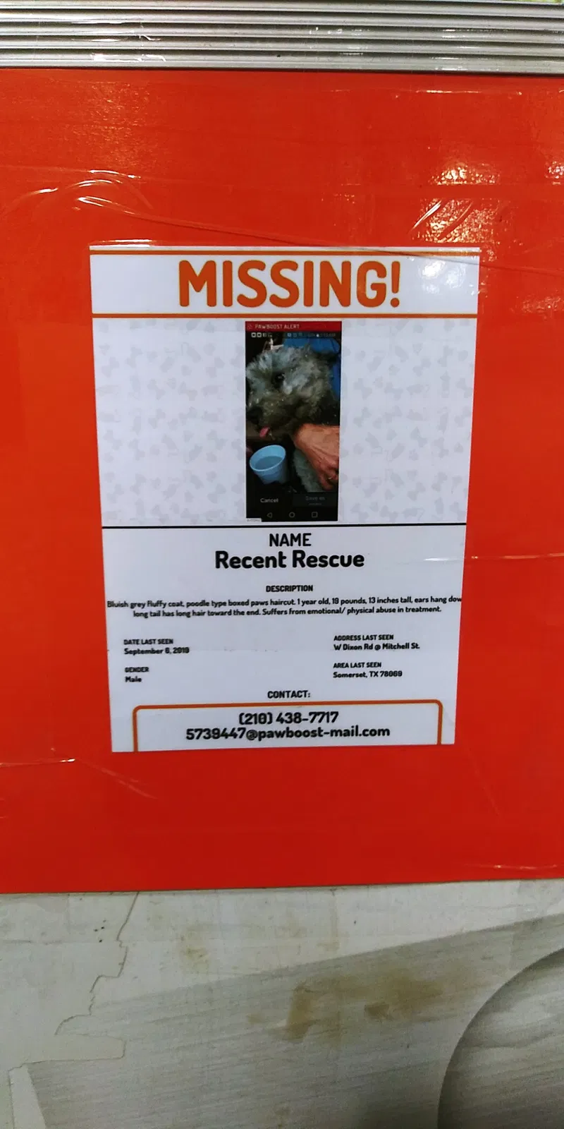 Lost dog in Somerset, TX, 78069