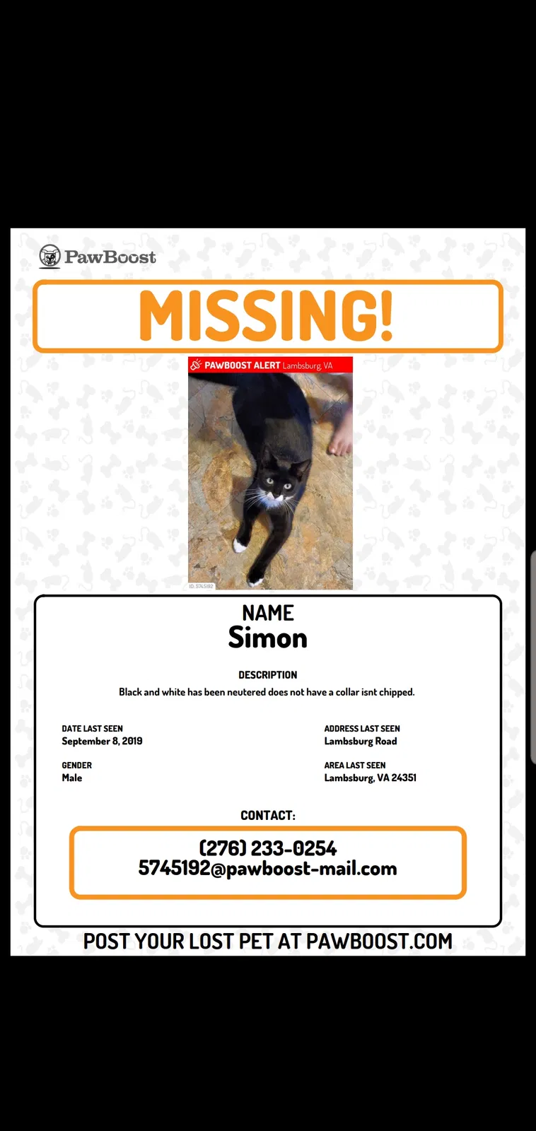 Lost cat in Lambsburg, VA, 24351