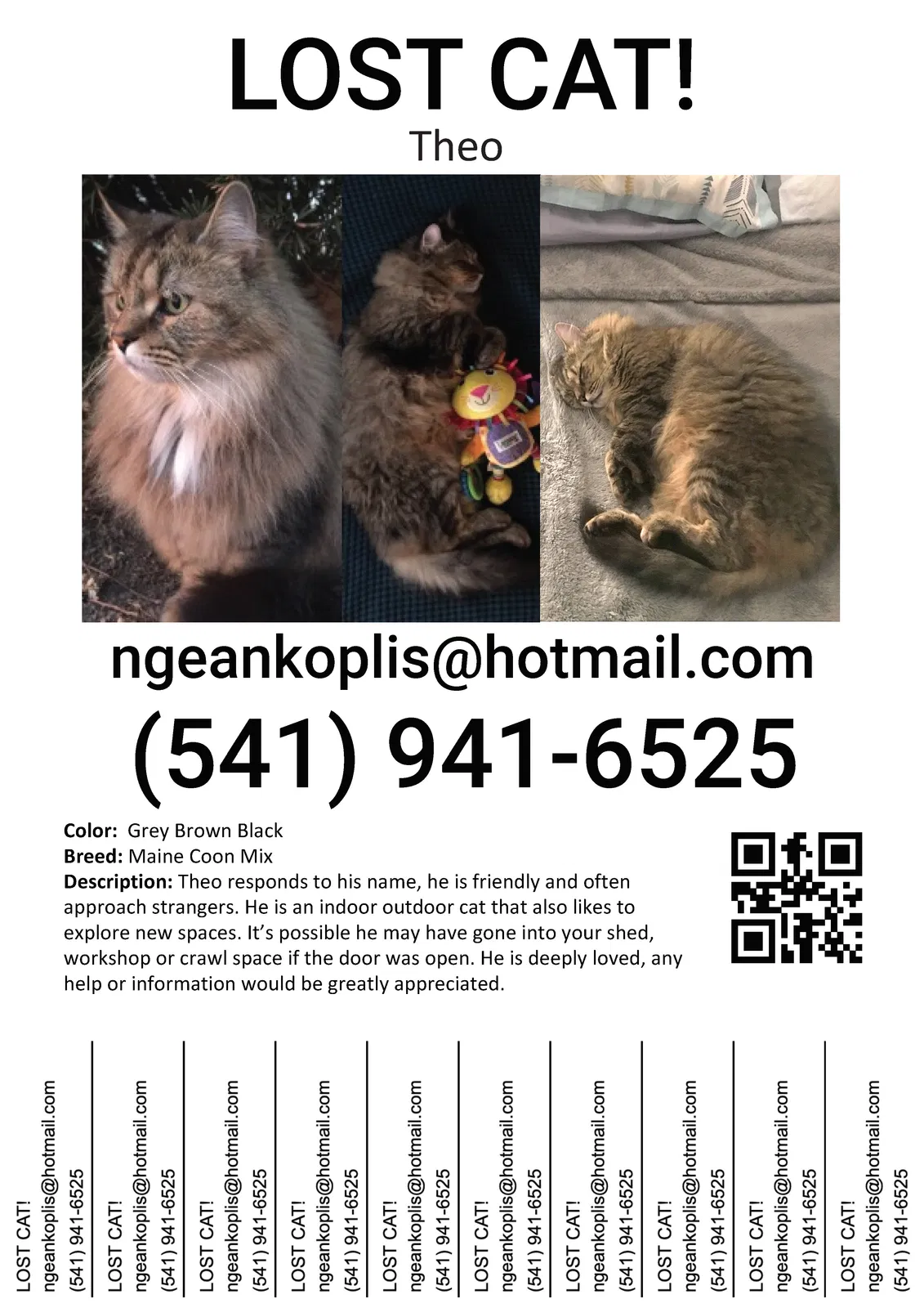 Lost cat in Manhattan, KS, 66502