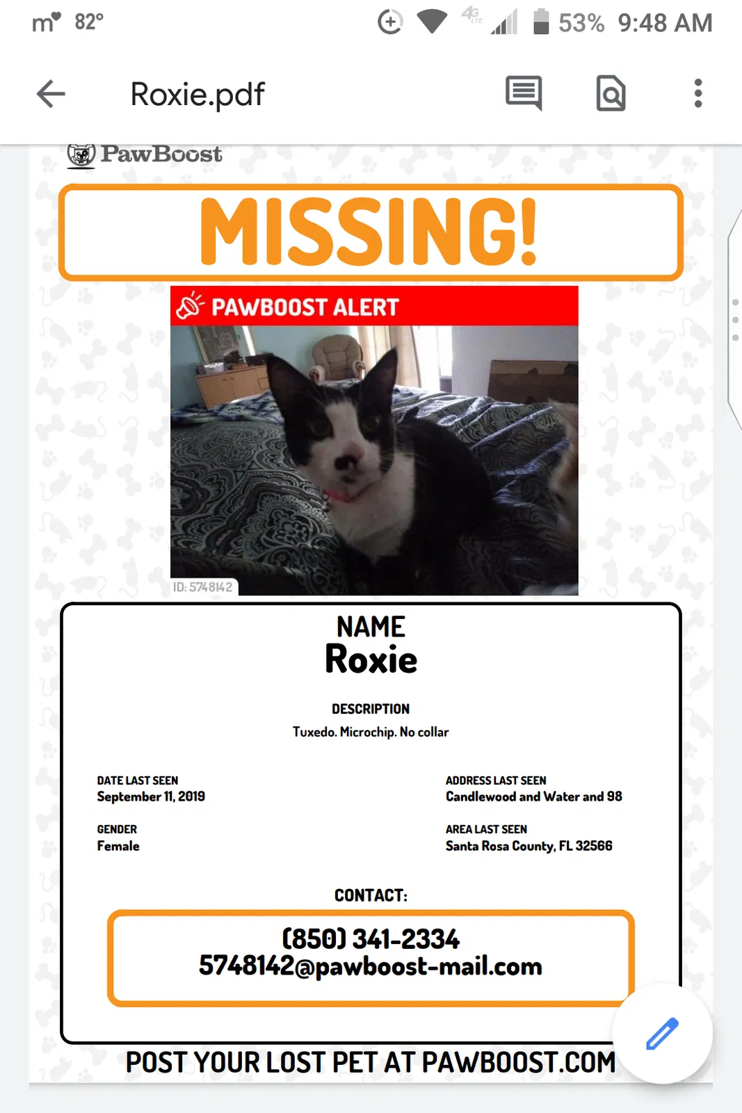 Lost cat in Navarre, FL, 32566