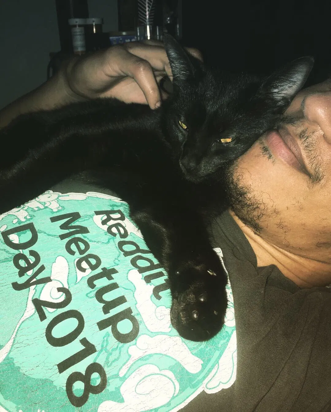 Lost cat in Covington, GA, 30014