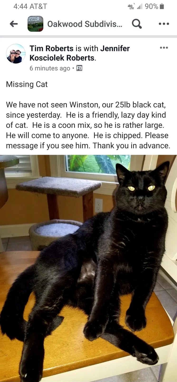Lost cat in Arlington, TN, 38002