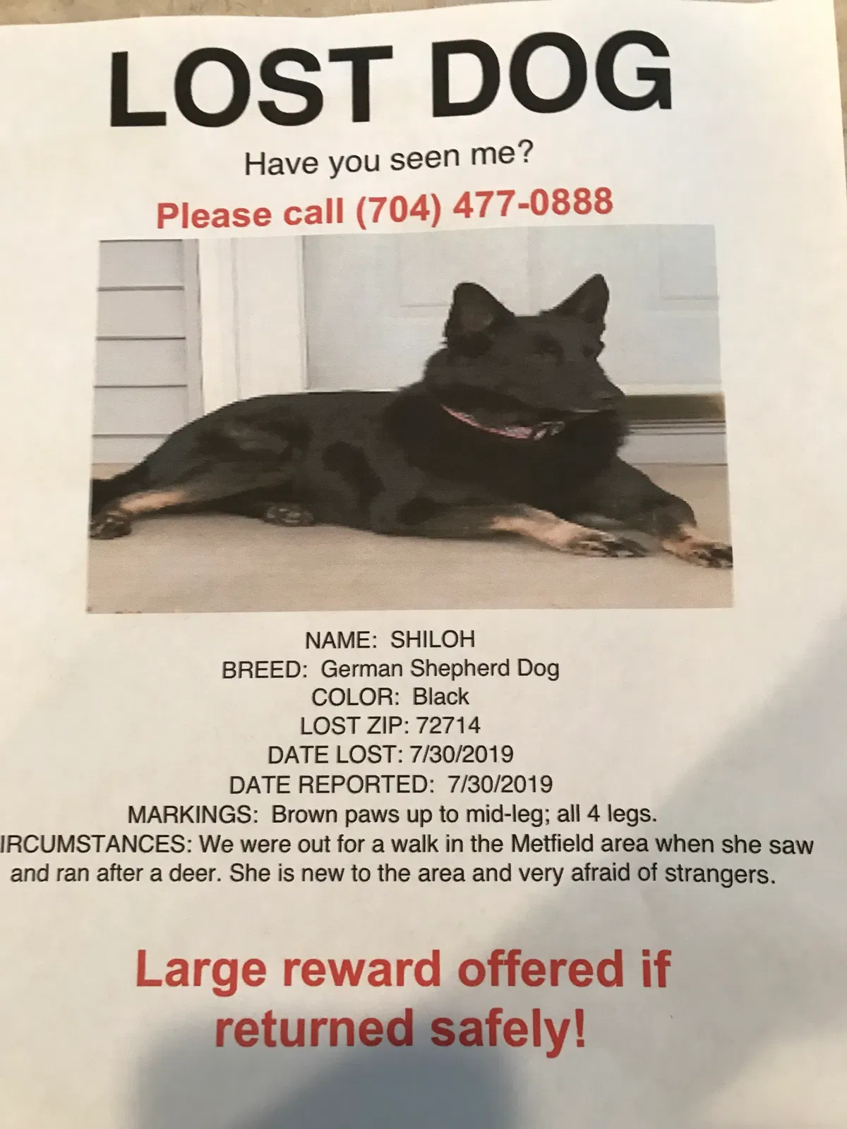 Lost dog in Bella Vista, AR, 72714