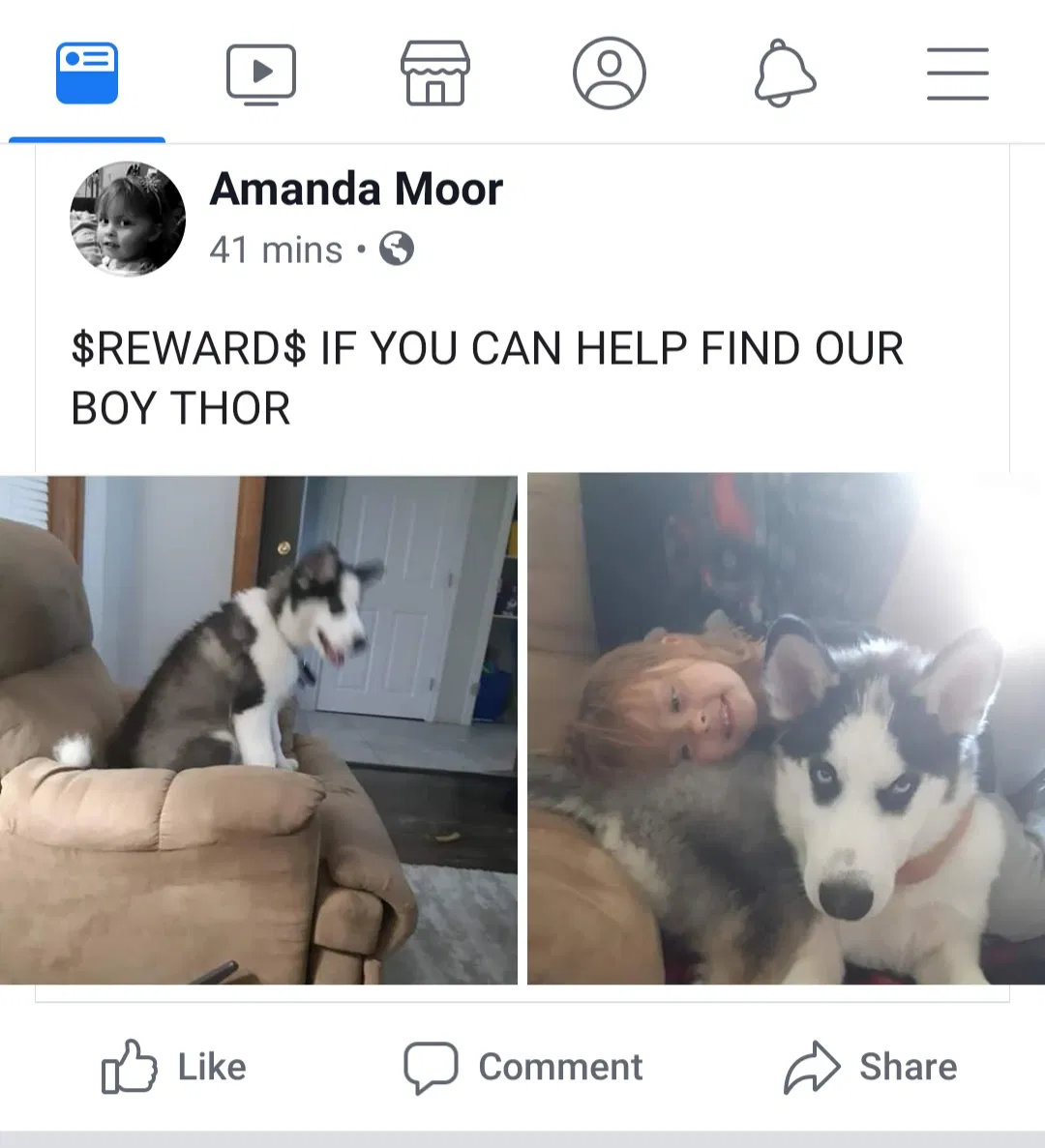 Lost dog in Unknown, CA, 0