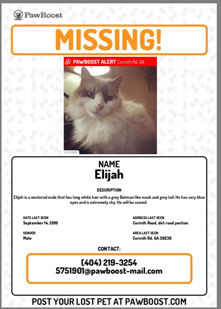 Lost cat in Jonesboro, GA, 30238
