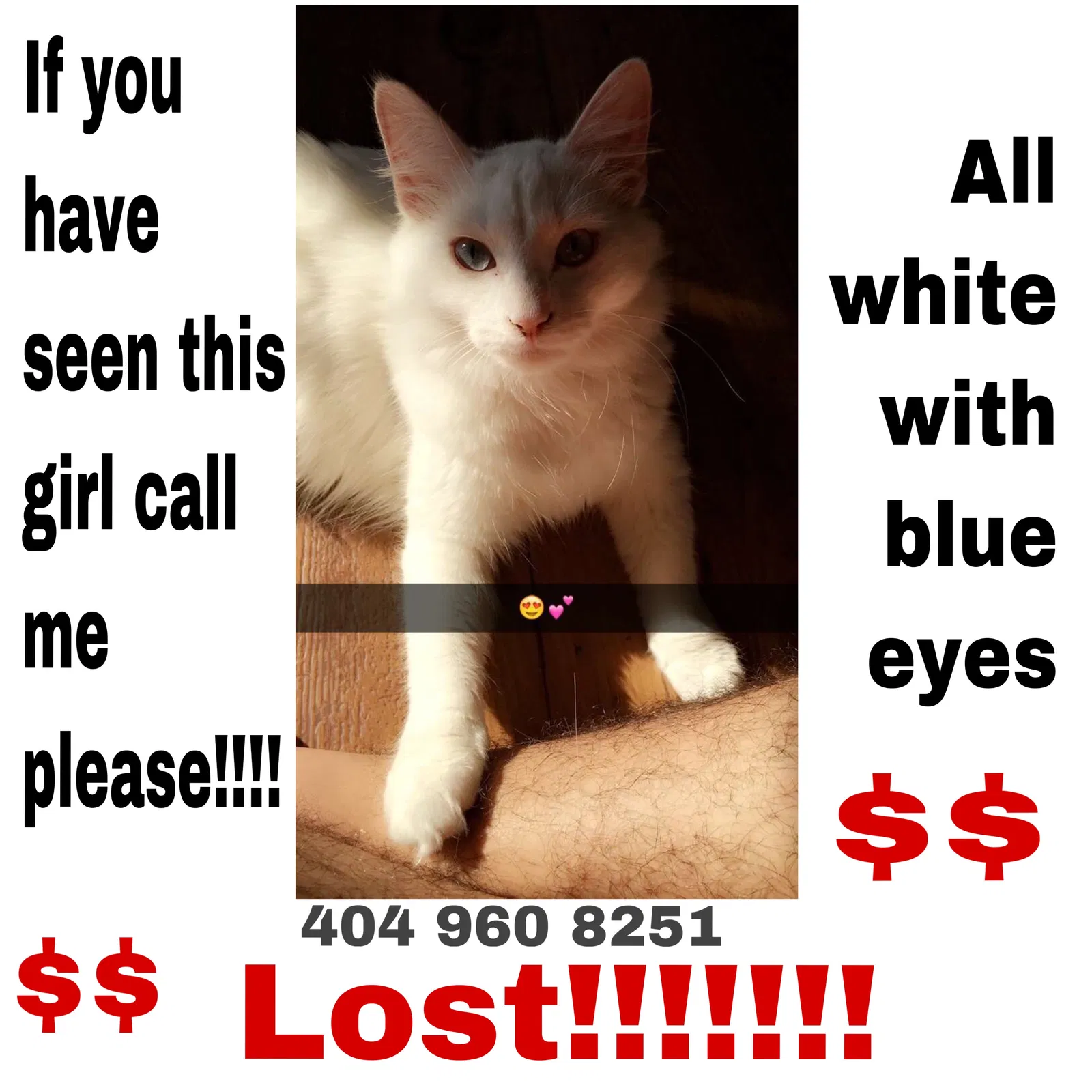 Lost cat in Atlanta, GA, 30350