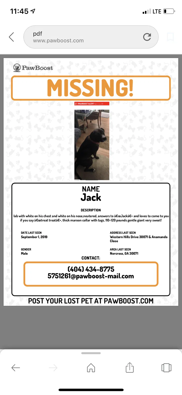 Lost dog in Norcross, GA, 30071