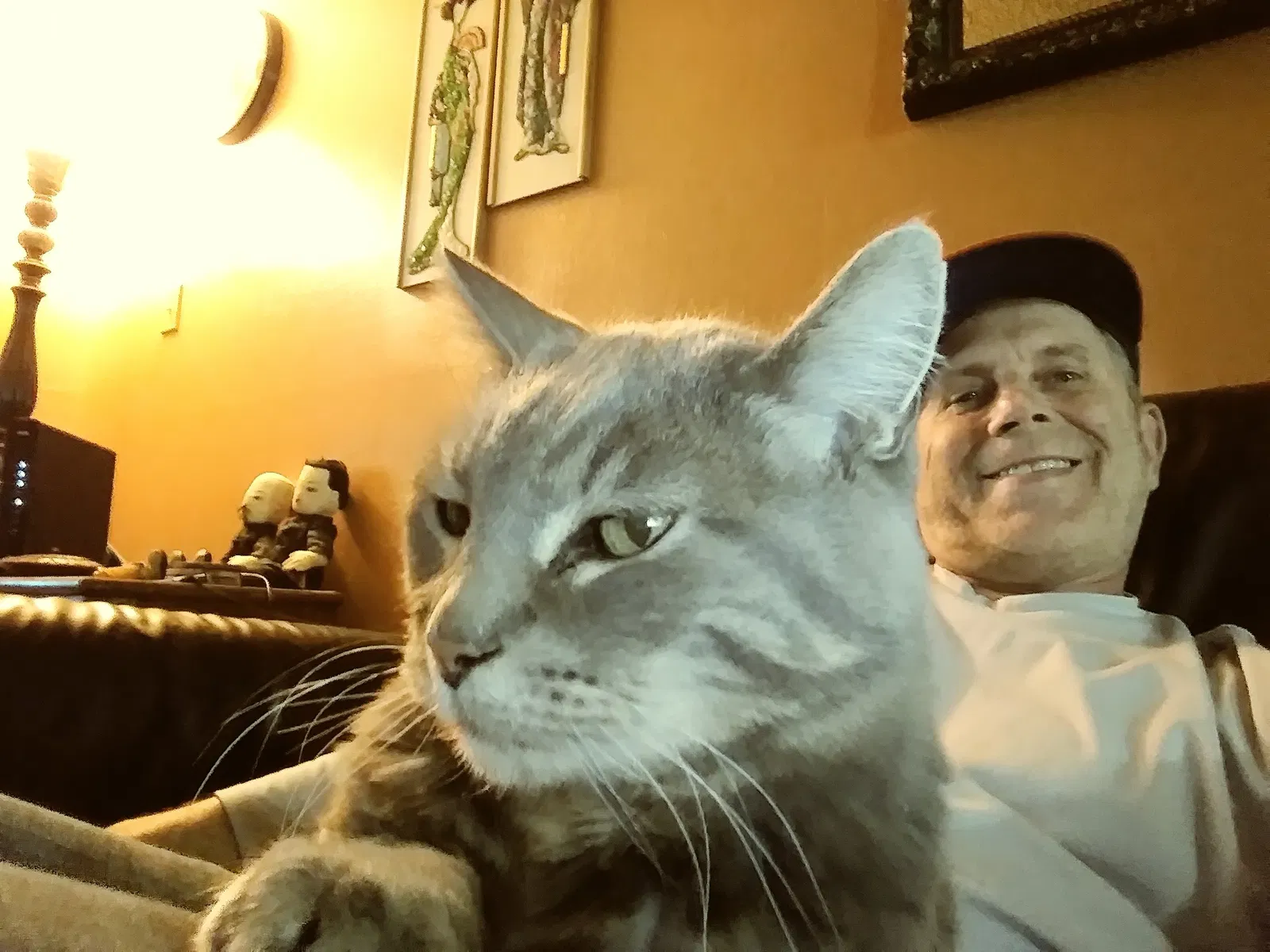 Lost cat in Denver, CO, 80231