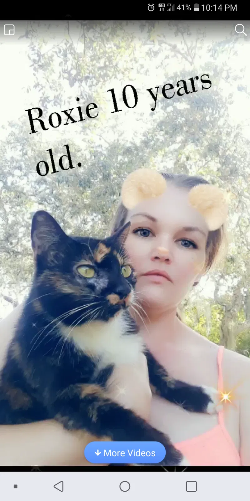 Lost cat in Mims, FL, 32754