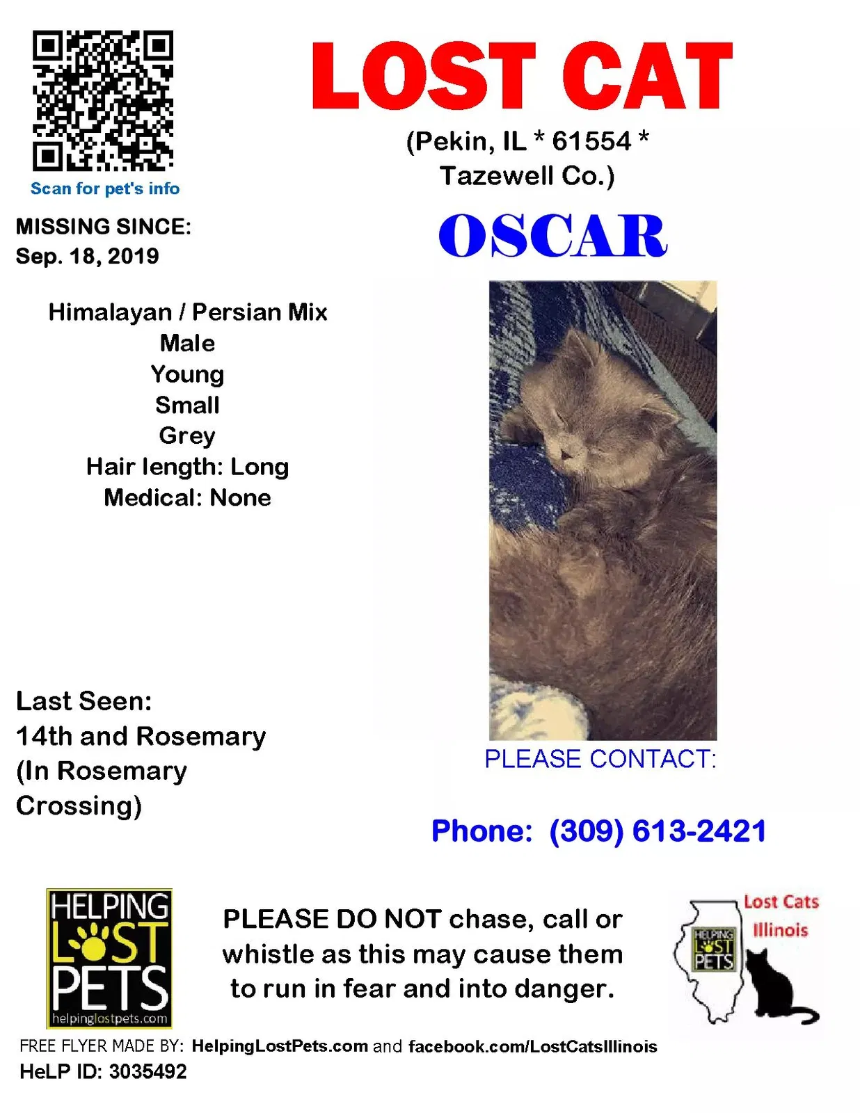 Lost cat in Pekin, IL, 61554