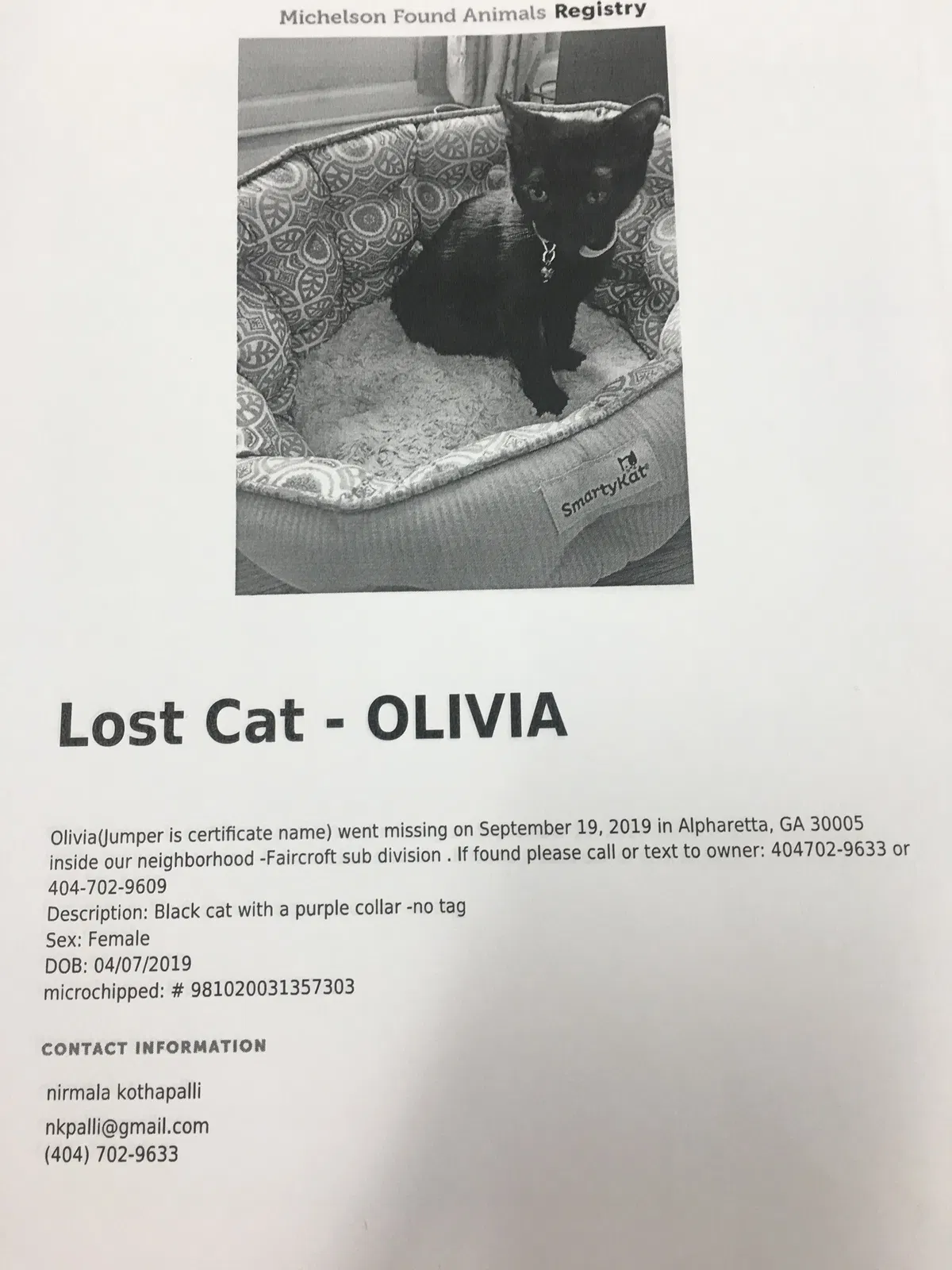 Lost cat in Alpharetta, GA, 30005