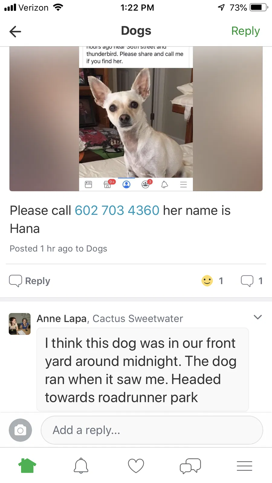 Lost dog in Phoenix, AZ, 85032
