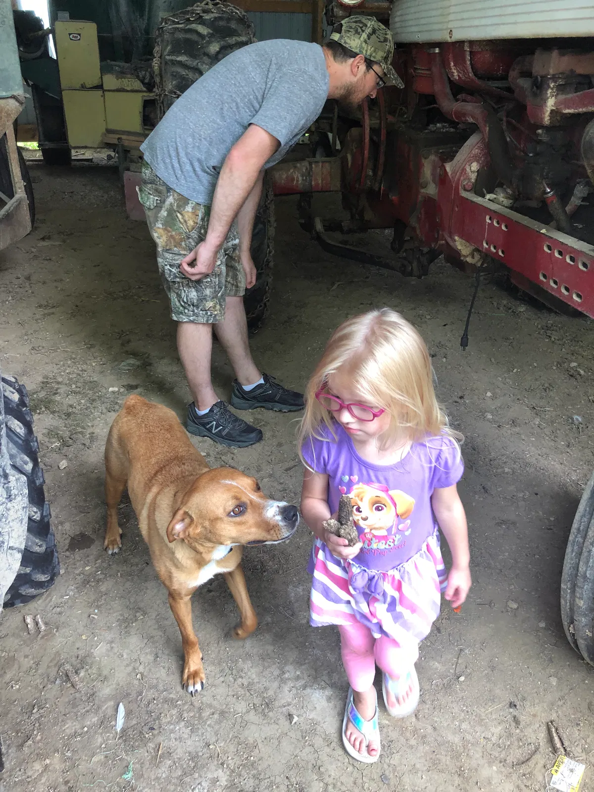 Lost dog in Zwingle, IA, 52079