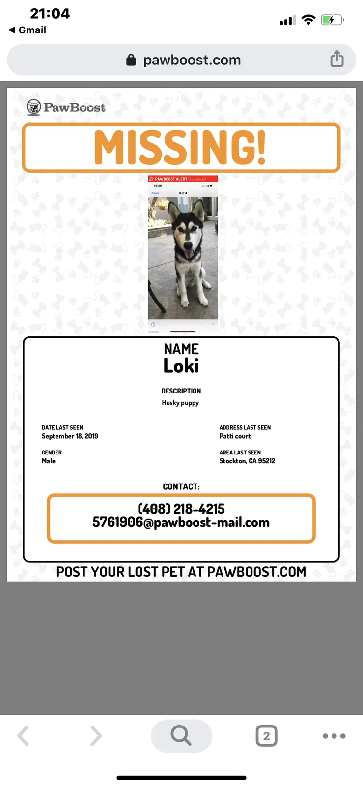 Lost dog in Stockton, CA, 95212