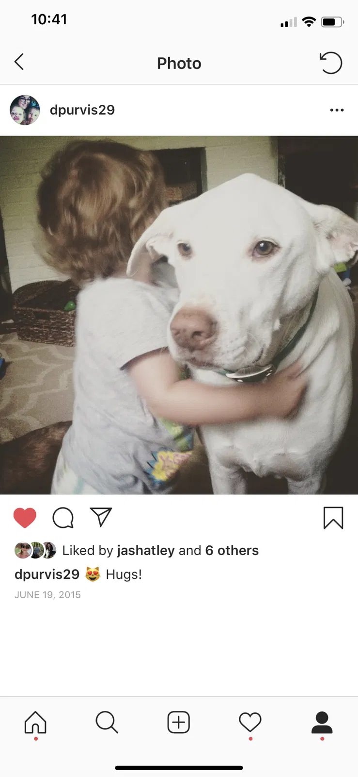 Lost dog in Winston Salem, NC, 27106