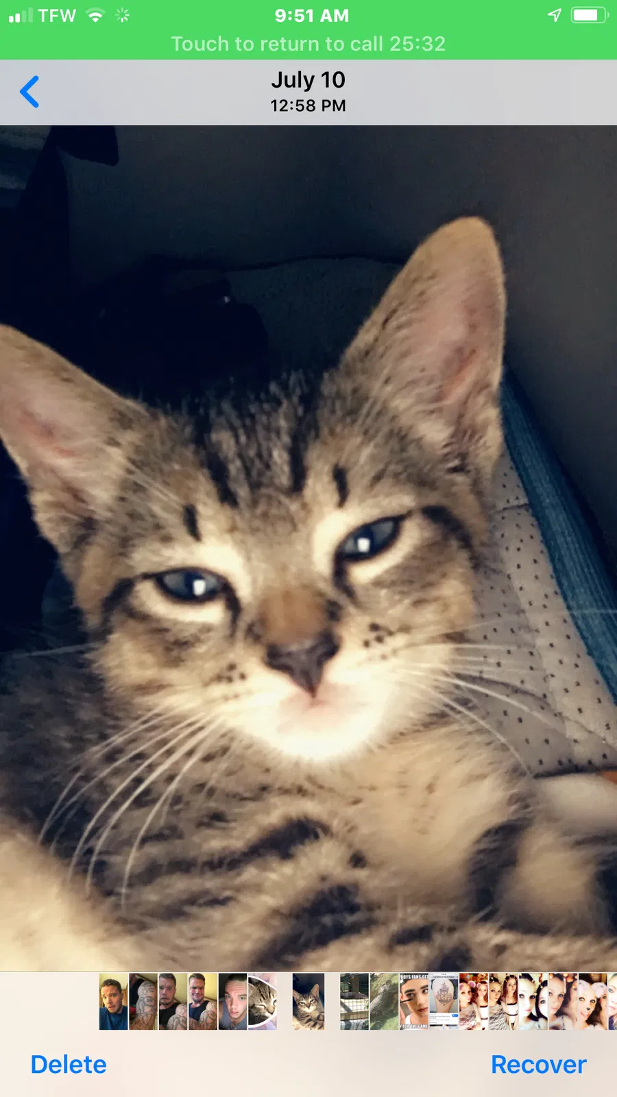 Lost cat in Litchfield, ME, 4350