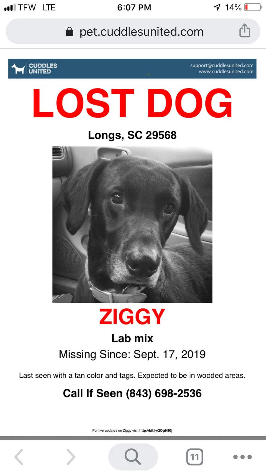 Lost dog in Longs, SC, 29568