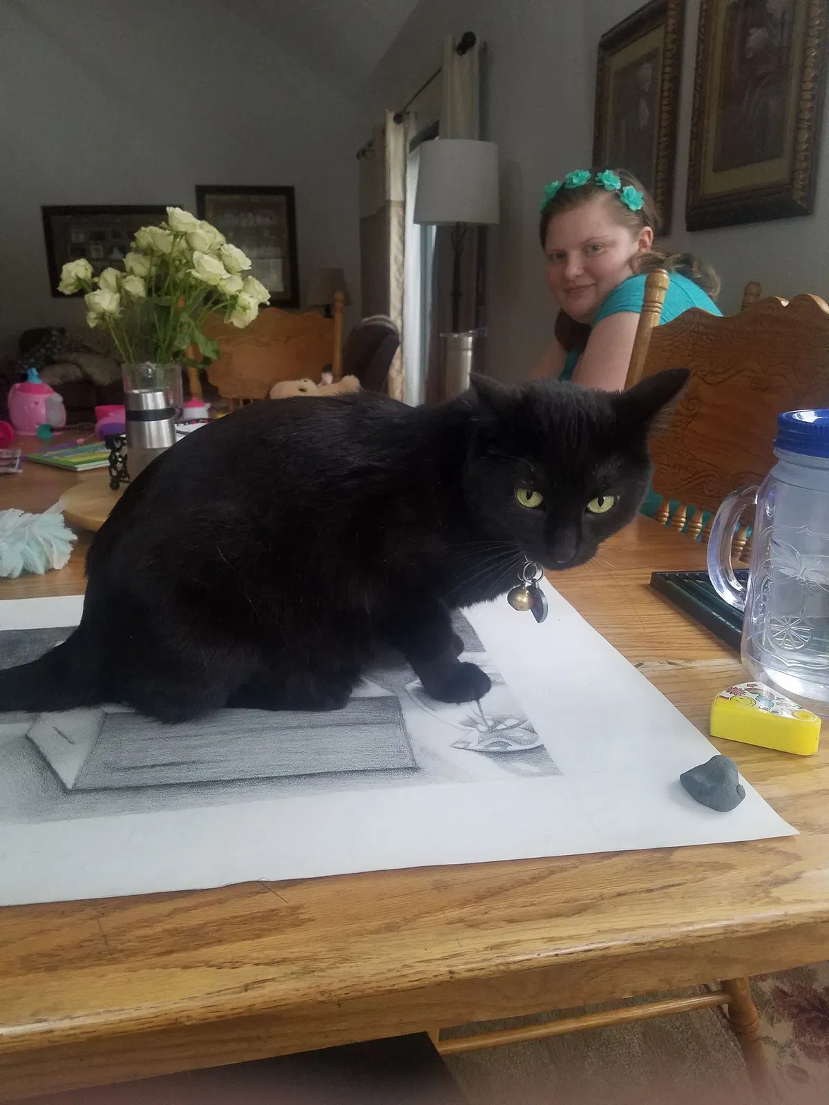 Lost cat in Monument, CO, 80132