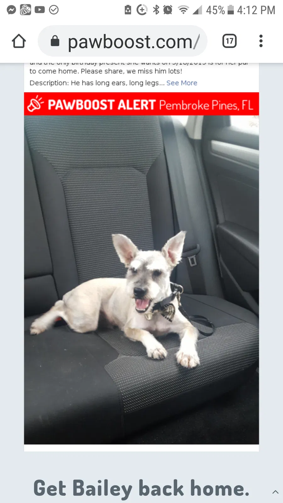 Lost dog in Hollywood, FL, 33029