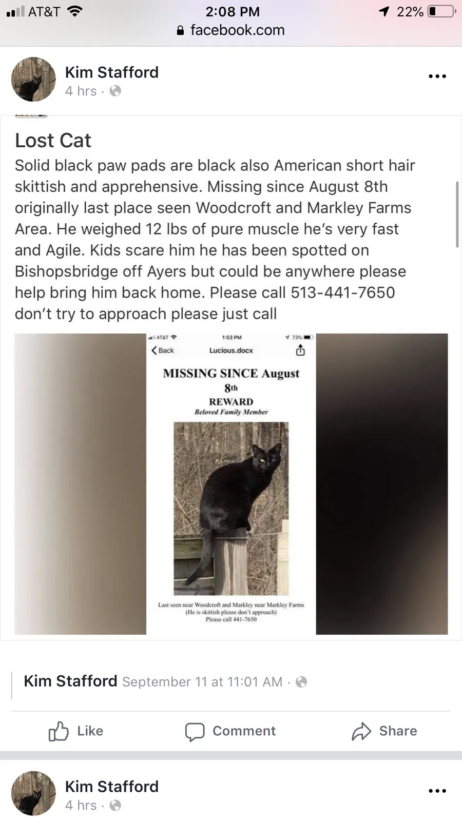Lost cat in Cincinnati, OH, 45230