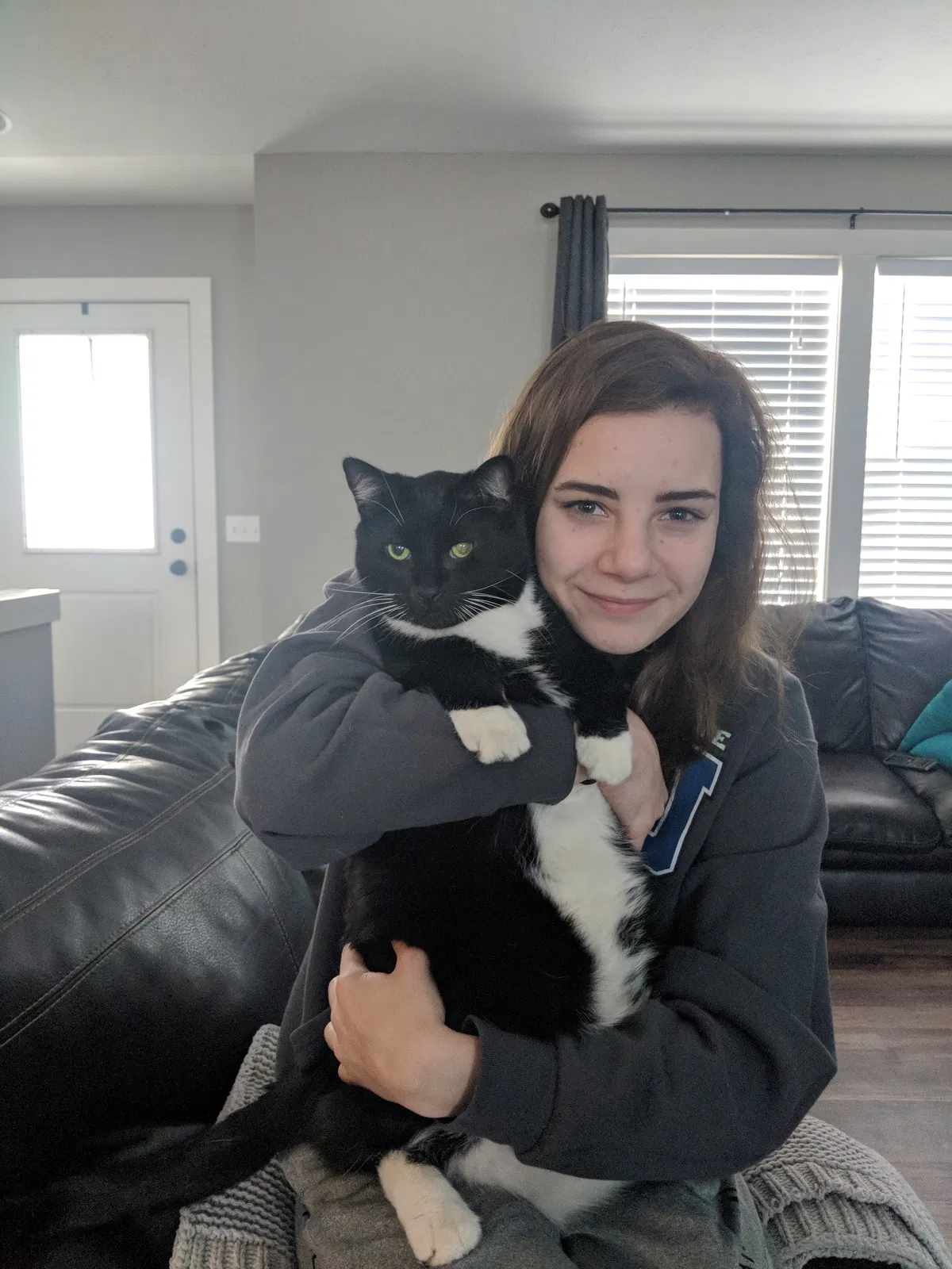 Lost cat in Allendale, MI, 49401