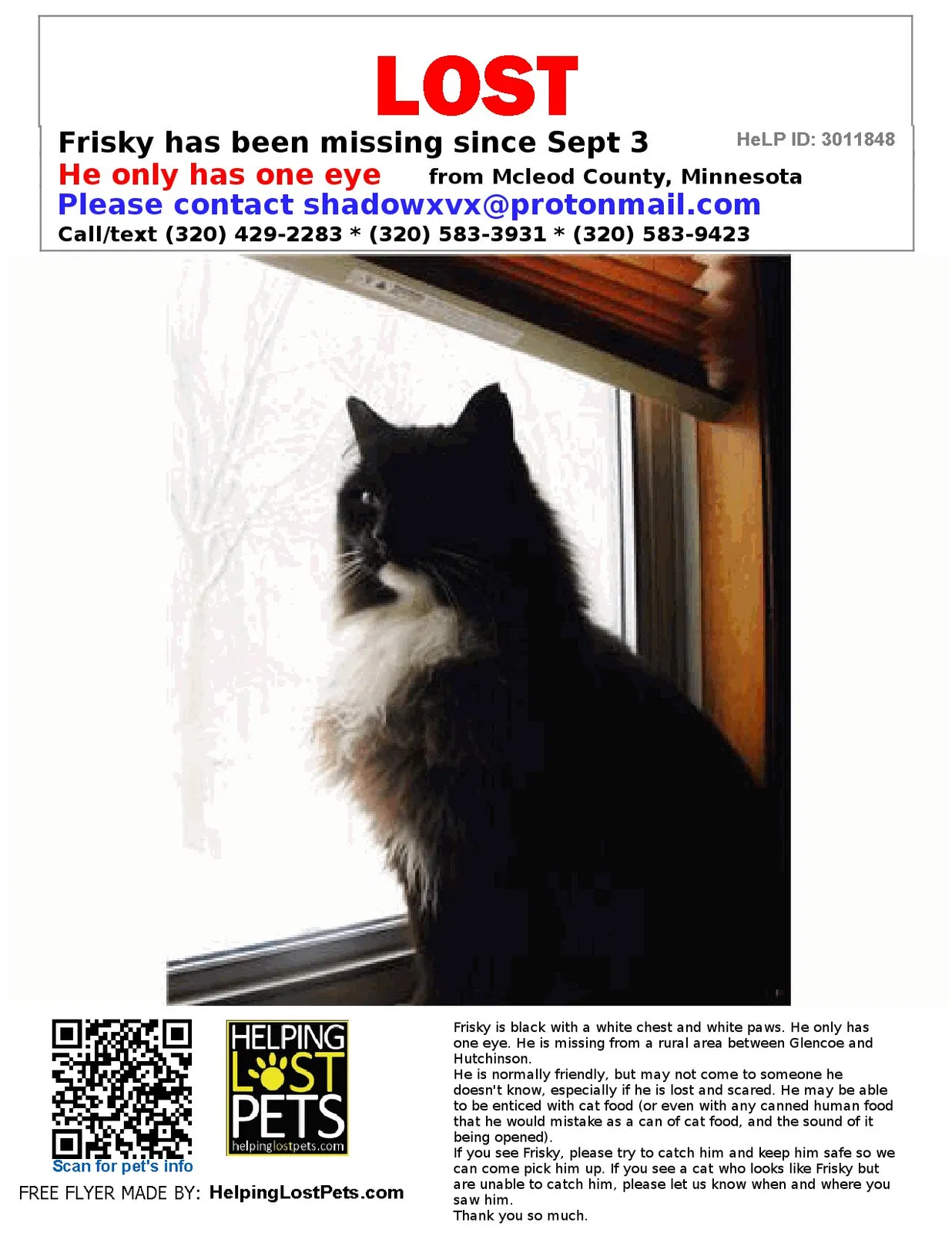Lost cat in Silver Lake, MN, 55381