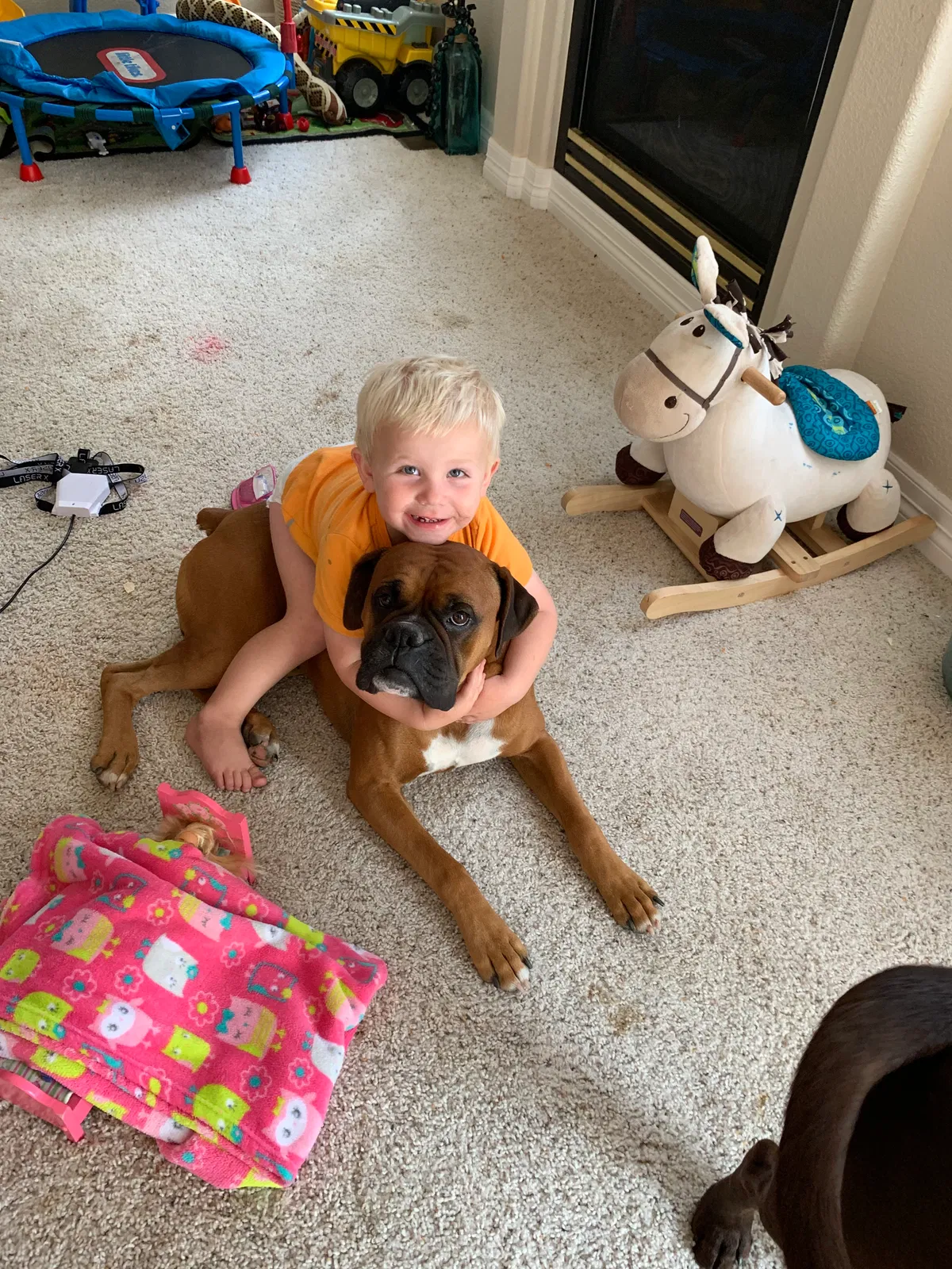 Lost dog in Greeley, CO, 80634