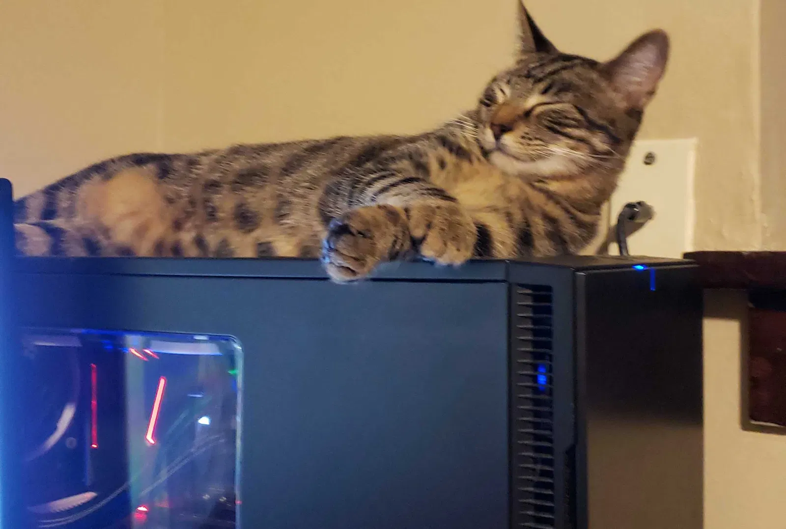 Lost cat in Saint Paul, MN, 55105