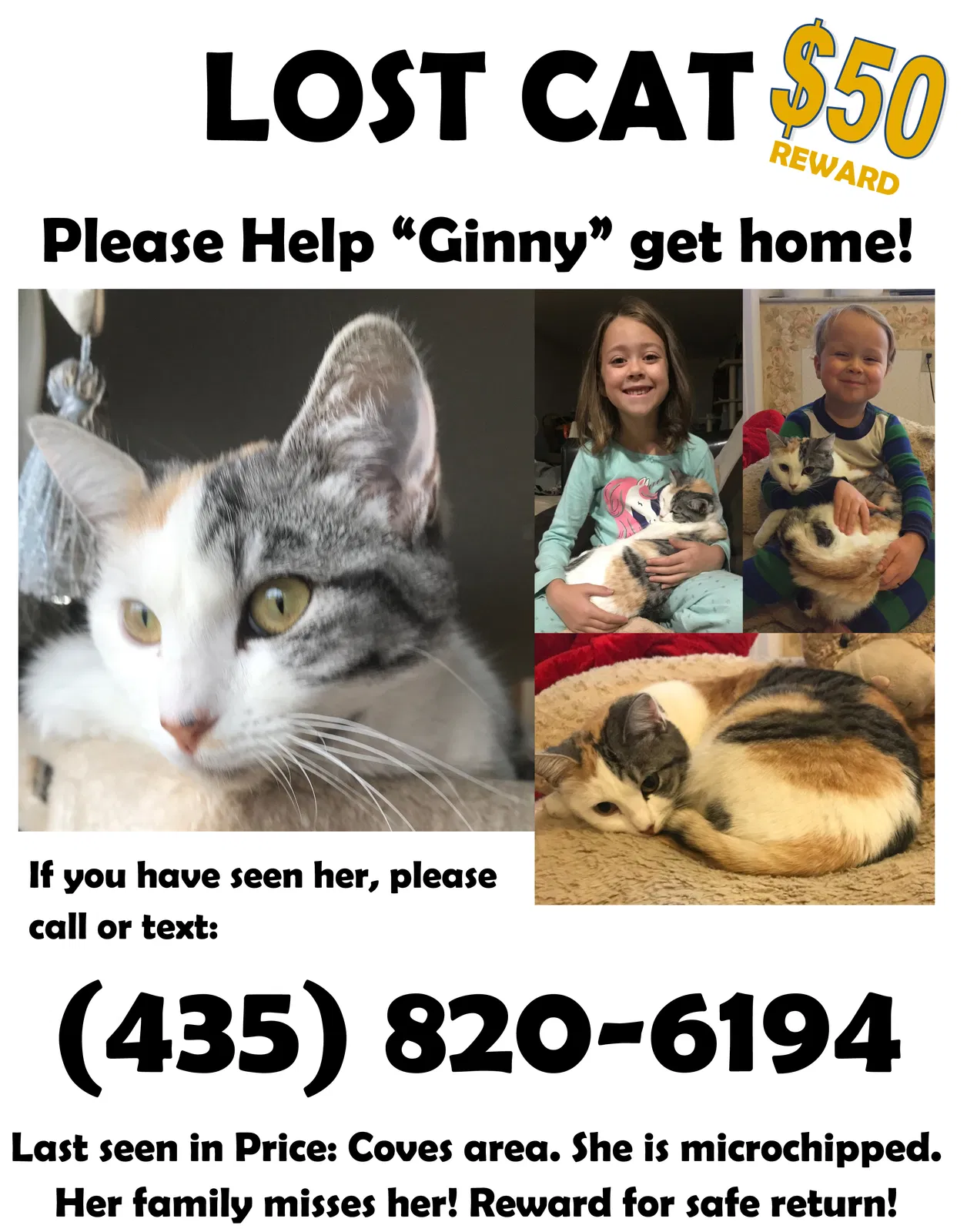 Lost cat in Price, UT, 84501