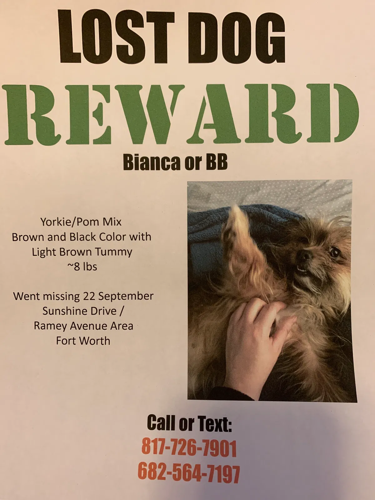 Lost dog in Fort Worth, TX, 76105