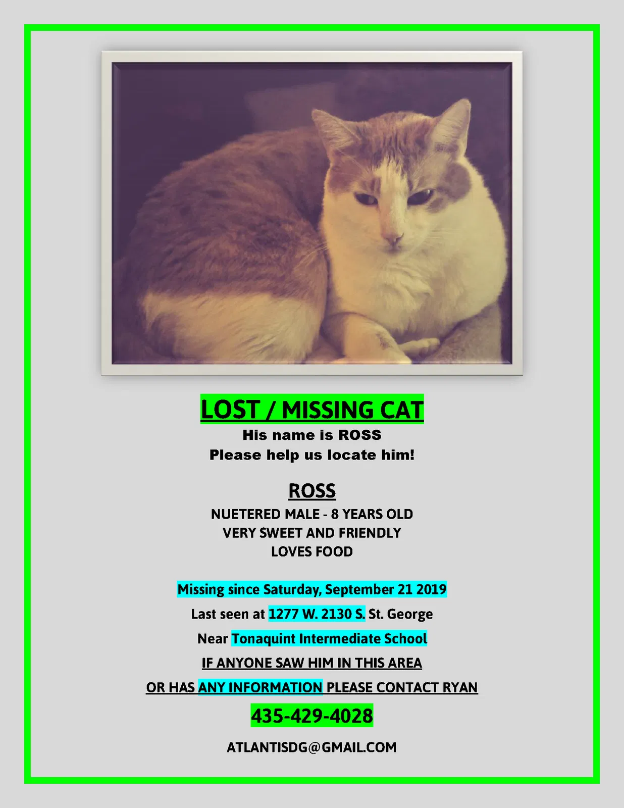 Lost cat in Saint George, UT, 84770